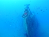 018_FRANCIS_011.jpg 