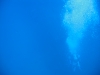 031_NICO_4172.jpg 
