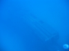 032_NICO_4173.jpg 