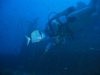 038_NICO_4183.jpg 