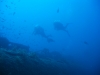 040_NICO_4185.jpg 