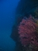 046_NICO_4193.jpg 
