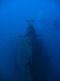 049_NICO_4198.jpg 