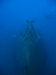 050_NICO_4199.jpg 