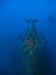 051_NICO_4200.jpg 
