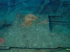 093_FRANCIS_039.jpg 