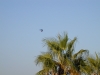 100_FRANCIS_047.jpg 