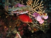 152_NICO_4308.jpg 