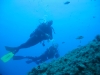 155_NICO_4312.jpg 