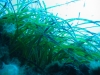 156_NICO_4313.jpg 