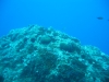 159_NICO_4316.jpg 