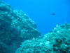 160_NICO_4317.jpg 
