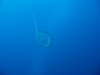 164_NICO_4322.jpg 