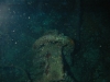 237_FRANCIS_150.jpg 