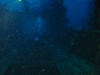 238_FRANCIS_152.jpg 