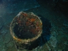 244_FRANCIS_158.jpg 