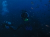 250_FRANCIS_165.jpg 