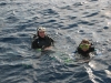 257_NICO_4418.jpg 