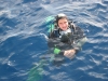 258_NICO_4420.jpg 