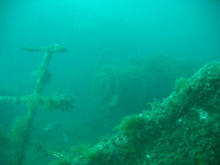 Cliquer sur la photo pour l'agrandir ...