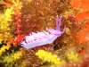 213_NICO_4418.jpg 
