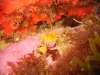 218_NICO_4436.jpg 