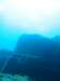 330_NICO_4876.jpg 